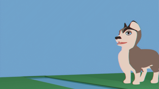 animation husky-corgi puppy running and jumping