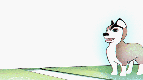 animation husky-corgi puppy compositor